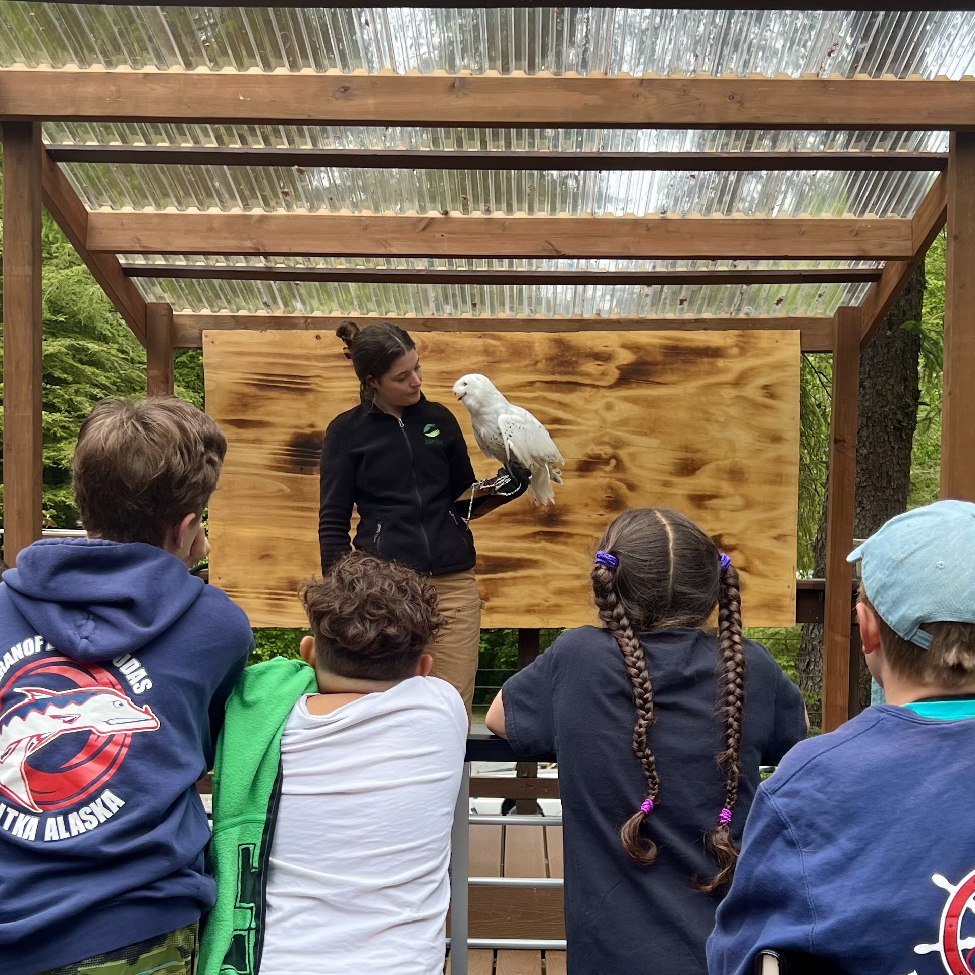 Fowl Play: Grades 1-3 - logo