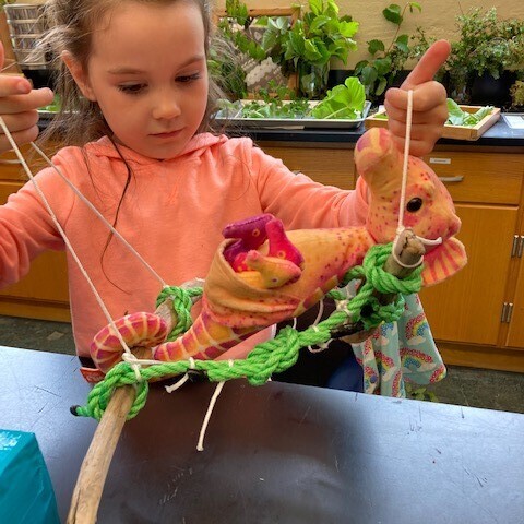 Shifty Shapes 2: Pre-K - logo